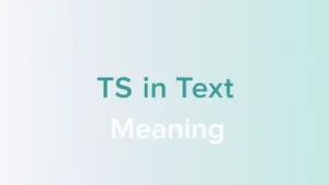 Read more about the article TS in Text Meaning: Decoding Its Usage Across Different Contexts