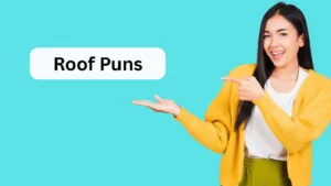 Read more about the article Roof Puns: Raising the Humor One Shingle at a Time